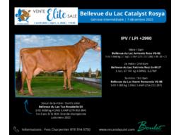 Lot # 7, Bellevue du Lac Catalyst Rosya