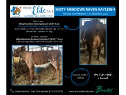 Lot # 4, Misty Meadow Raven Kayleigh