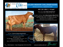 Lot # 9, Golden Meadow Challenger Boing 