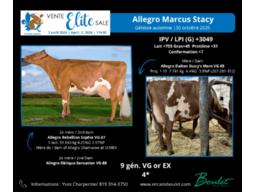 Lot # 8, Allegro Marcus Stacy, le transport pour cette g&eacute;nisse sera pay&eacute; par le vendeur jusqu'&agrave; Montmagny, Qu&eacute;bec