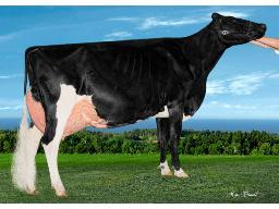E3-DELAPLAINE LAMBDA CAMERISE TB-2A X TACTICAL SEXE 2 EMBRYONS CONVENTIONEL # 1