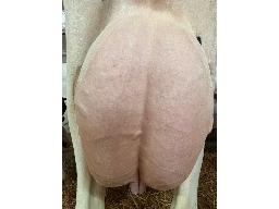 30-YVECLAIR DREAMBIG PEAR B-77