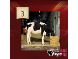 3-JOLIPRE MASTER ALASKA-5777
