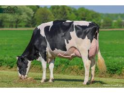 124- CEDARHOLME ENERGY AUTUMN VG-88-2YR 