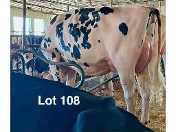 108-Drewholme Anahita Wisper GP-83