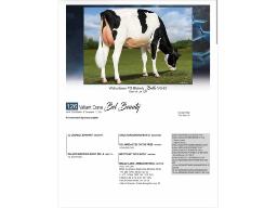 126-Valiant Crave Bel Beauty 