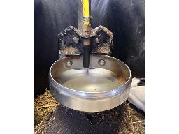Abreuvoir Delaval Stainless-5, bleu-20  etc...