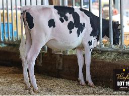19-BLONDIN LAMBDA SERINA