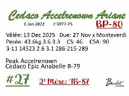 27-Cedaco Accelrenown Ariane BP-80 -9977