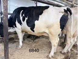 26-120986840
