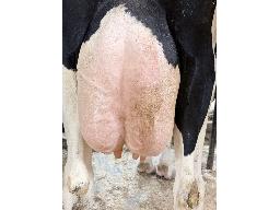 4-111481527
