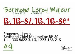 4-BERMOND LEROY MAJEUR-0632-55