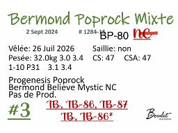 3-BERMOND POPROCK MIXTE- BP-80 1284