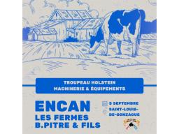 TROUPEAU HOLSTEIN DE 110 TÊTES, 60 VACHES ET 40 TAURES, 10 577 KG 4.4%G 3.5%P (233-272-252) CCS 85, INTERVALLE DE VÊLAGE 389 JRS