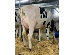 RITER BLAKELY FRIPPA NC