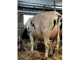 PARKHURST KNOWHOW AXELLA NC