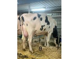 DALAC MIRAND JACKY BP-81 2 ANS (SM:82)