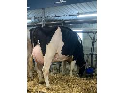 KOUWENBERG STARS 3297 EX-90 4 ANS