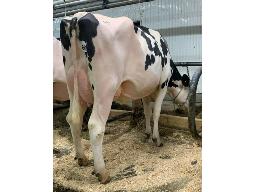 LEHOUX LEMAGIC AIRSPRAY BP-82 2 ANS