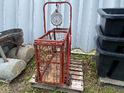 Cage avec balance à veaux ou à moutons