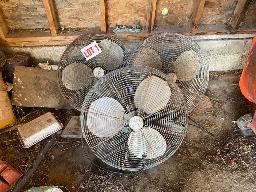 3 ventilateurs de plafond d’env. 24’’