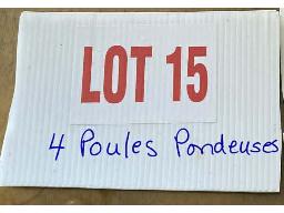 4 poules pondeuses